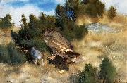 bruno liljefors orn jagande hare Spain oil painting artist